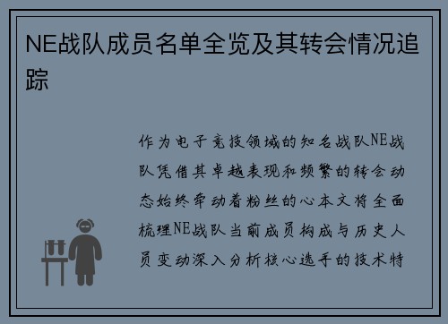 NE战队成员名单全览及其转会情况追踪